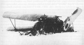 Bohuel D.III v naich slubch byl vyfocen a po nehod.