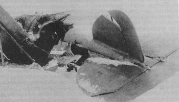 Bohuel D.III v naich slubch byl vyfocen a po nehod.